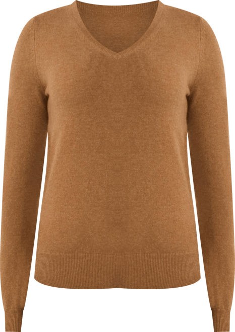 Women's 100% Pure Cashmere Long Sleeve Pullover V Neck Sweater