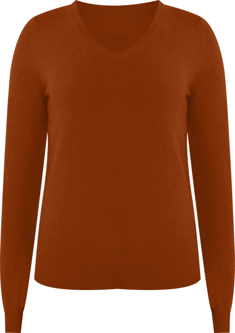 Women's 100% Pure Cashmere Long Sleeve Pullover V Neck Sweater