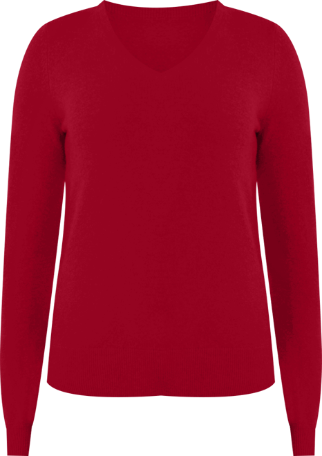 Women's 100% Pure Cashmere Long Sleeve Pullover V Neck Sweater