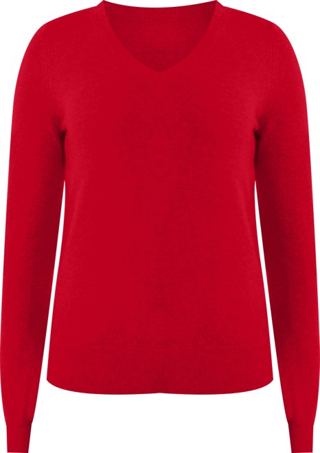 Women's 100% Pure Cashmere Long Sleeve Pullover V Neck Sweater