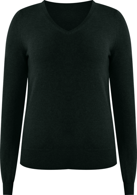 Women's 100% Pure Cashmere Long Sleeve Pullover V Neck Sweater