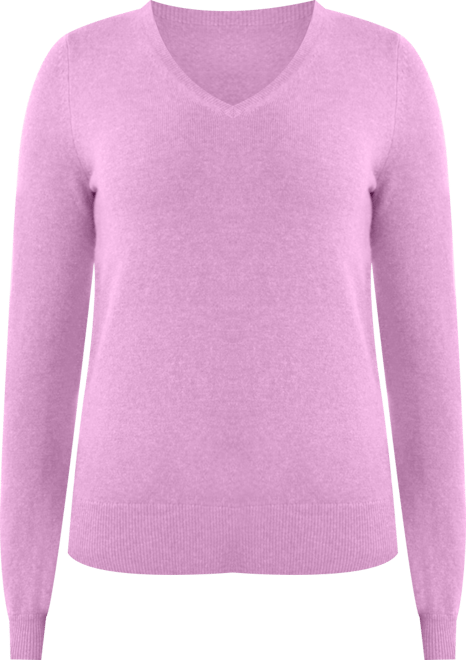 Women's 100% Pure Cashmere Long Sleeve Pullover V Neck Sweater