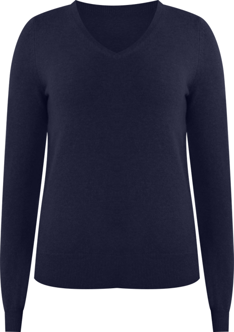 Women's 100% Pure Cashmere Long Sleeve Pullover V Neck Sweater