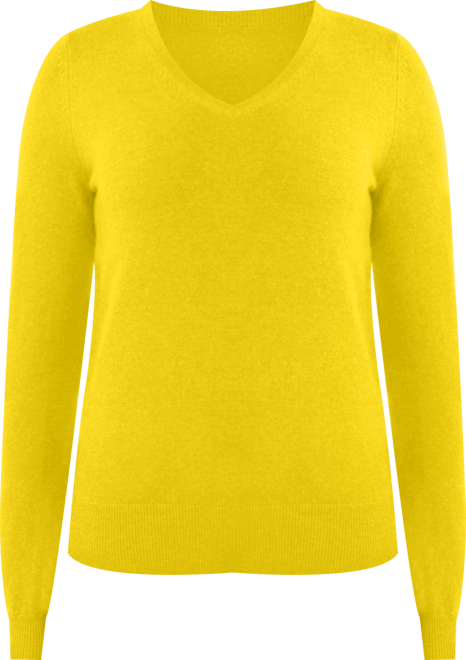 Women's 100% Pure Cashmere Long Sleeve Pullover V Neck Sweater