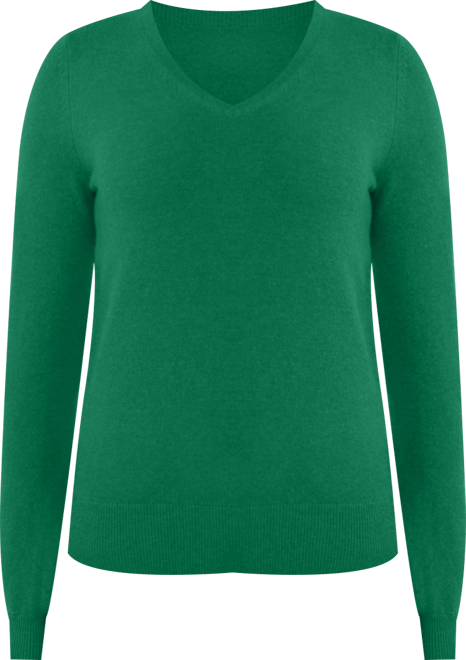 Women's 100% Pure Cashmere Long Sleeve Pullover V Neck Sweater