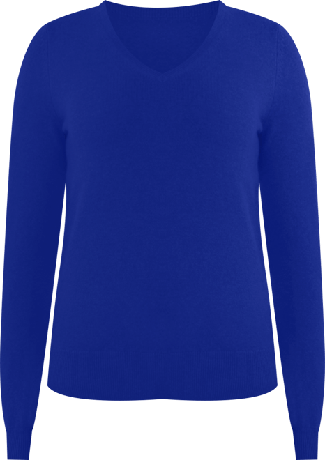 Women's 100% Pure Cashmere Long Sleeve Pullover V Neck Sweater