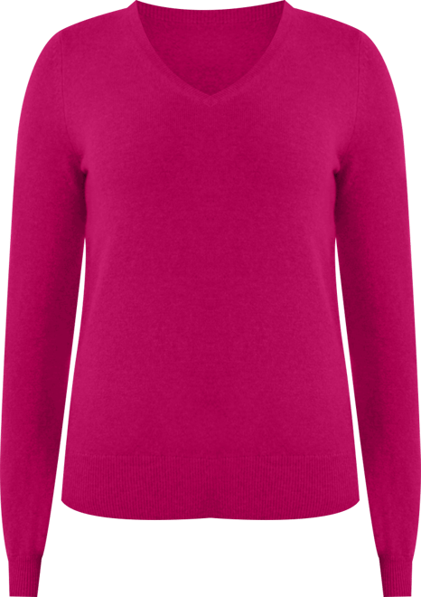 Women's 100% Pure Cashmere Long Sleeve Pullover V Neck Sweater