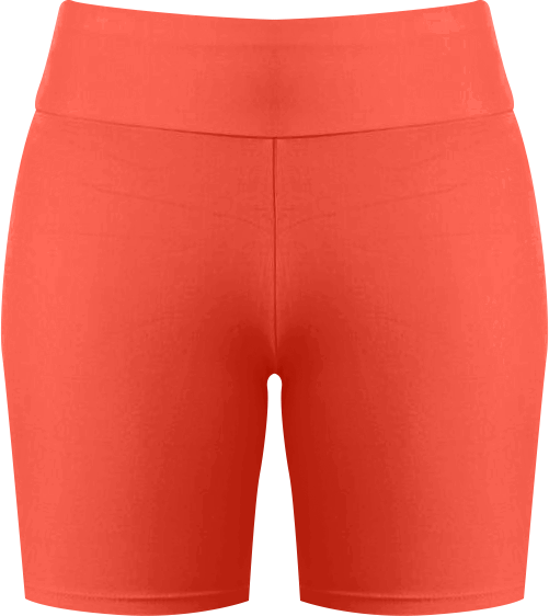 Women's Plus Size Mid-Thigh Swim Shorts