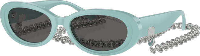 Women's Oval Sunglasses w/Chain, Tf4221