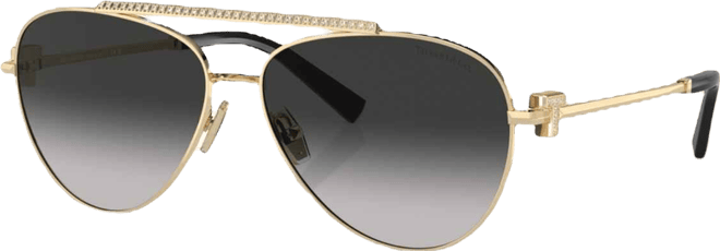 Women's Sunglasses, Tf3101B