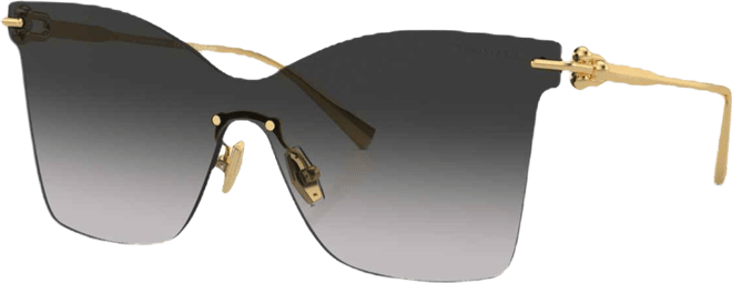 Women's Sunglasses, Tf3103K