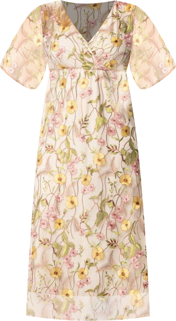 Women's Plus Size Embroidered Elegance Evening Gown