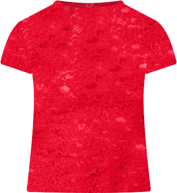 Women's Kaori Sheer Lace T Shirt