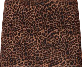 Women's Edin Leopard Print Mesh Mini Skirt