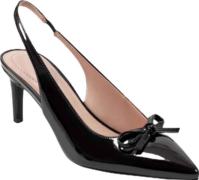 Women's Shane Pointed Toe Slingback Pumps