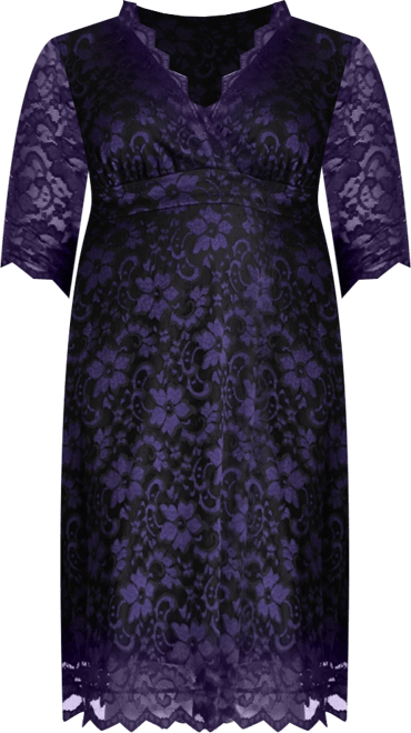 Plus Size Mon Cherie Floral Lace Cocktail Dress