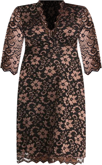 Plus Size Mon Cherie Floral Lace Cocktail Dress
