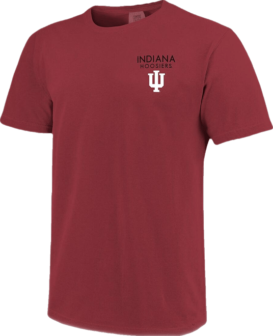 Men's and Women's Crimson Indiana Hoosiers Scenic Comfort Colors T-Shirt