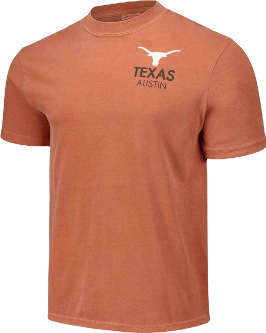 Men's and Women's Burnt Orange Texas Longhorns Scenic Comfort Colors T-Shirt