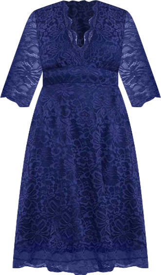 Plus Size Mademoiselle Lace Cocktail Dress with Sleeves