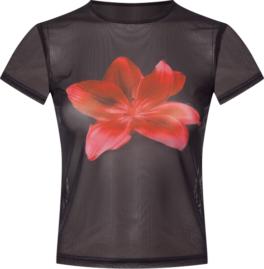 Aloha sheer mesh T shirt