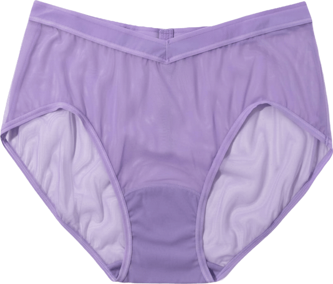Women's Mesh Hi-Cut French Brief