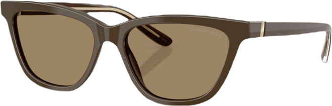 Women's Sunglasses AR8221