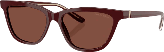 Women's Sunglasses AR8221