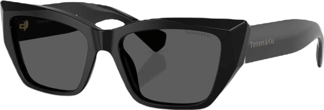 Women's Sunglasses TF4230