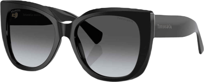 Women's Polarized Sunglasses TF4229