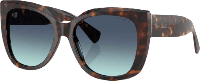 Women's Sunglasses TF4229
