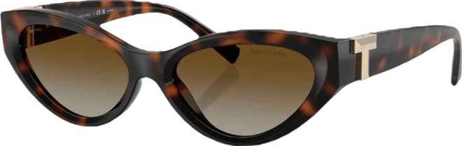 Women's Polarized Sunglasses TF4225U