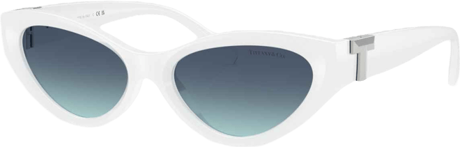Women's Sunglasses TF4225U