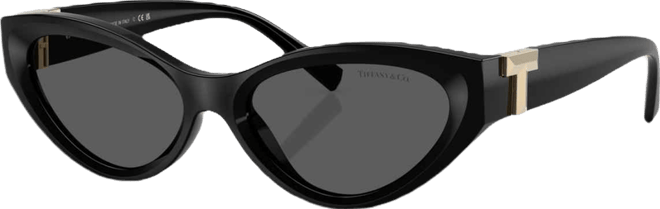 Women's Sunglasses TF4225U