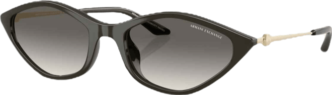 Women's Sunglasses AX4152SU