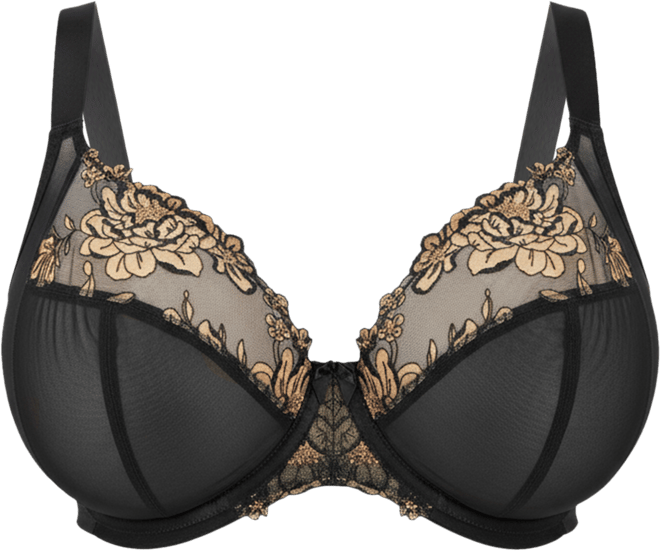 Women's Teagan Full-Figure Underwire Plunge Bra EL302602