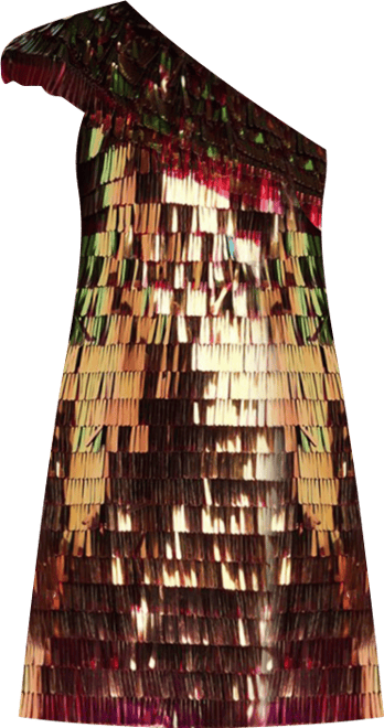 Women's Bina Sequin Fringe Mini Dress