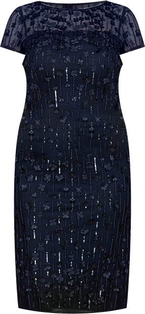 Women's 3D Applique Midi Dress with Cap Sleeves