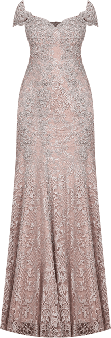 Women's Fitted Lace Mermaid Gown