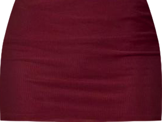 Women's Vivi Mesh Mini Skirt