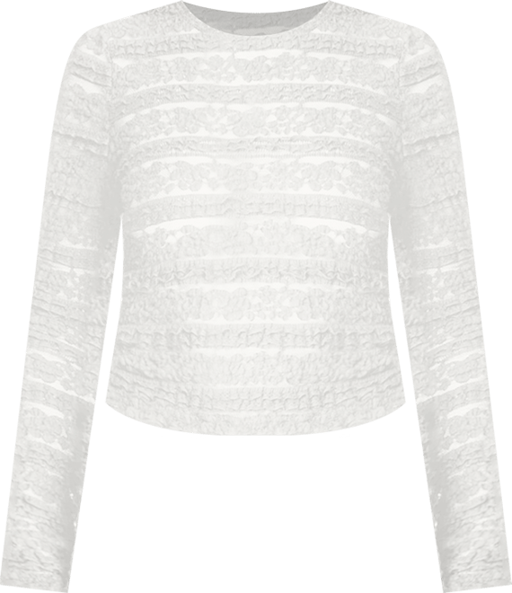 Womens Daisey Textured Sheer Lace Top