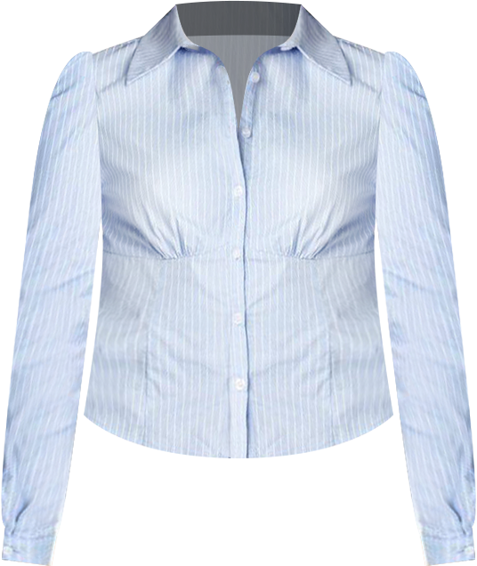 Womens Tailored Pinstripe Button Up Shirt