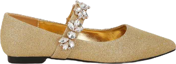 Flavia Diamante Brooch Glitter Ballerinas Women