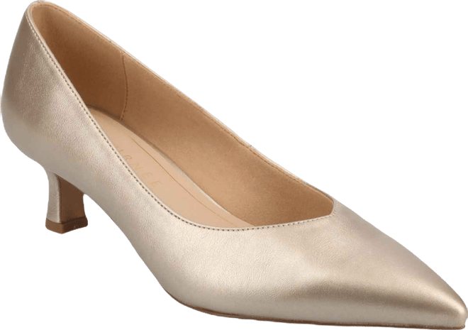 Women's Pammie Pointed Toe Kitten Heel Dress Pumps