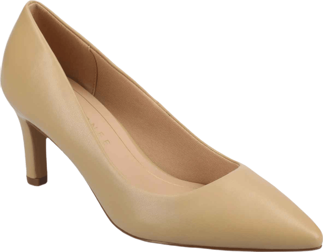 Women's Scylee Pointed Toe Dress Pumps