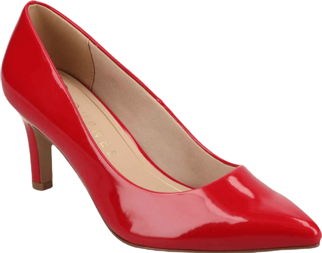 Women's Scylee Pointed Toe Dress Pumps