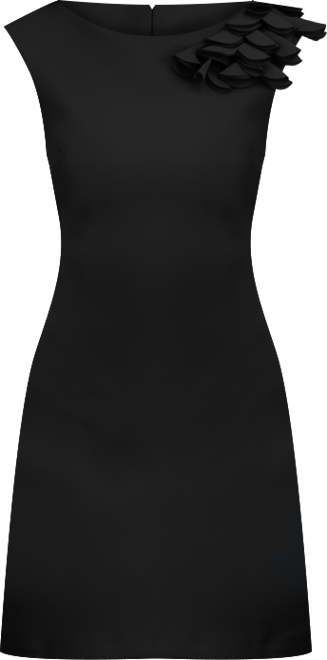 Women's Embellished Boat Neck Sleeveless Sheath Dress