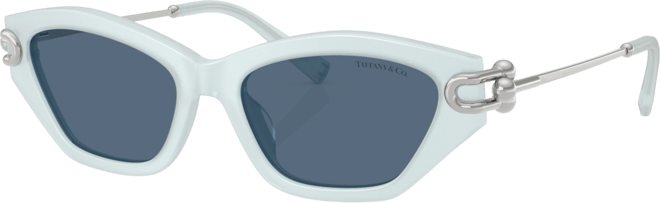 Women's Standard Sunglasses, TF4231U