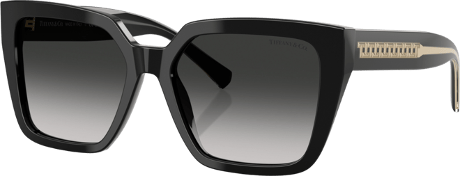 Women's Large Sunglasses, TF4235