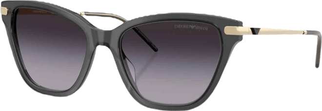 Women's Large Sunglasses, EA4251